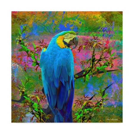 Trademark Fine Art Ata Alishahi 'Bird Collection 24' Canvas Art, 18x18 ALI22456-C1818GG